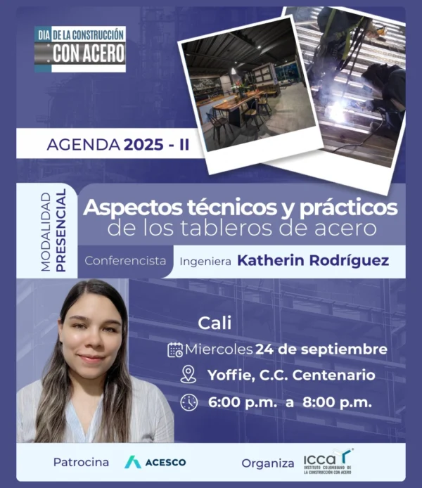 Conferencia presencial en Cali sobre aspectos técnicos y prácticos de los tableros de acero